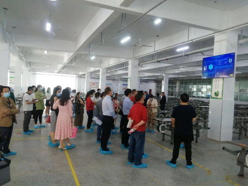 城区学校食品安全工作专题培训会顺利召开，强化校园食品安全防线